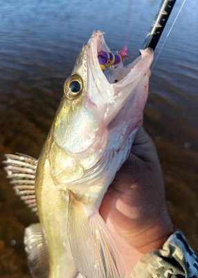 IMG_20260809_233742.jpg