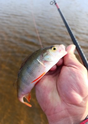 IMG_20260811_233631.jpg