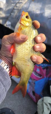 IMG_20260814_162836.jpg