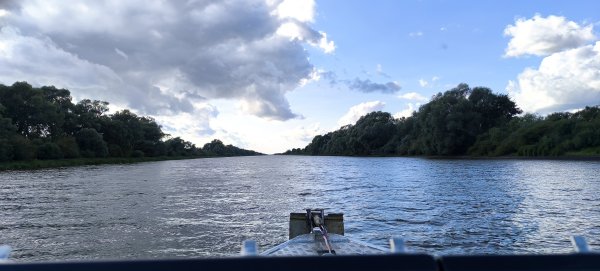 IMG_20260821_165355.jpg