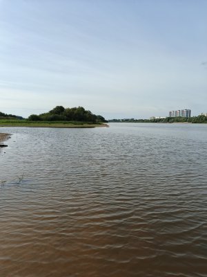IMG_20260822_103738_375.jpg