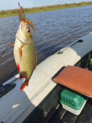 IMG_20260829_111019_822.jpg