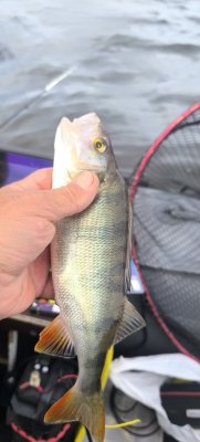 IMG_20260829_113141.jpg