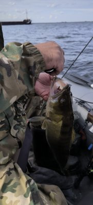 IMG_20260829_123048.jpg