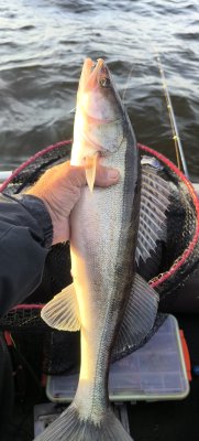 IMG_20260829_185902.jpg