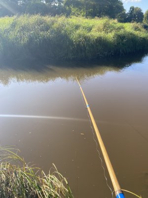 IMG_6160.jpeg