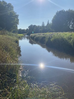 IMG_6162.jpeg