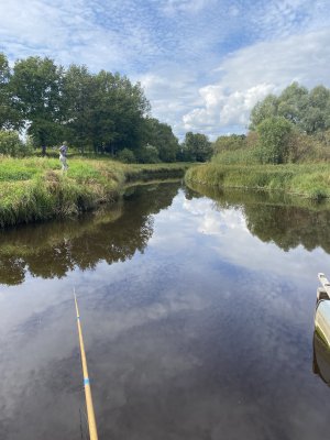 IMG_6199.jpeg