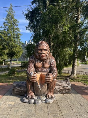 IMG_8856.jpeg