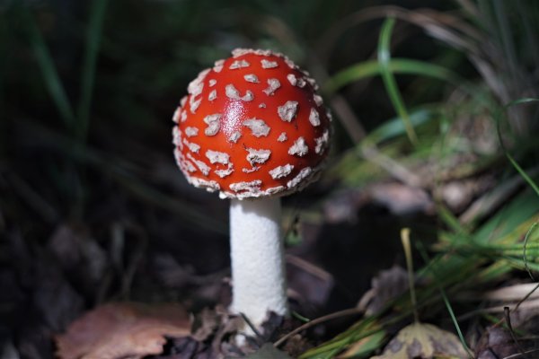 W7uk49Hm2Jg.thumb.jpg.8b45768fcd8b15e3a3f177bf326b7a96.jpg