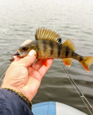 IMG_20260905_091932_383~2.jpg
