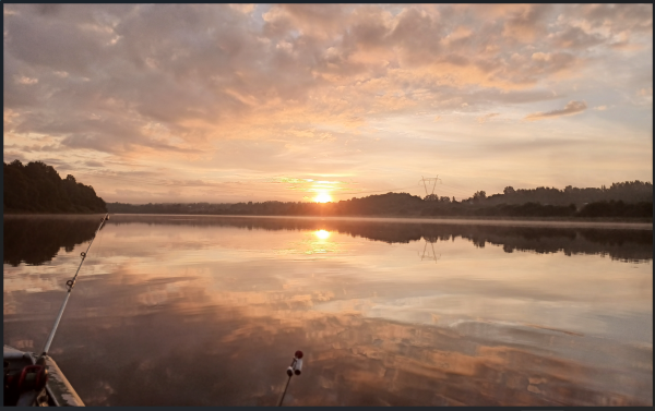 Снимок экрана 2026-09-01 133018.png