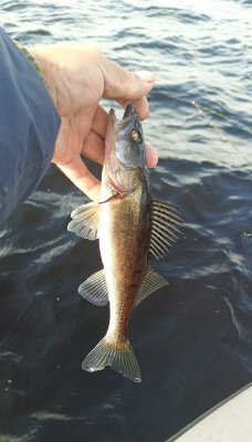 IMG_20260903_154952_956~2.jpg