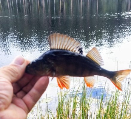 IMG_20260902_125216_401~2.jpg