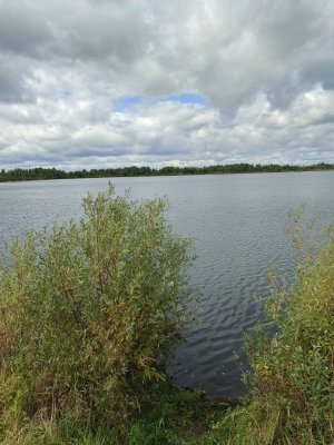 IMG_20260903_132710_685.jpg