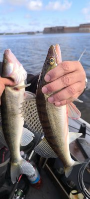 IMG_20260905_101707.jpg