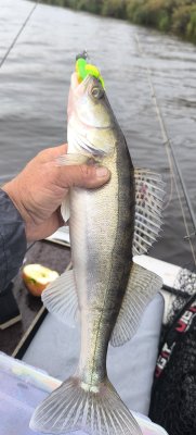 IMG_20260913_103810.jpg