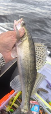 IMG_20260913_124848.jpg