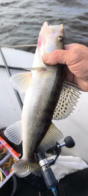 IMG_20260918_092318.jpg