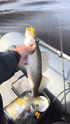 IMG_20260929_095839_297.jpg
