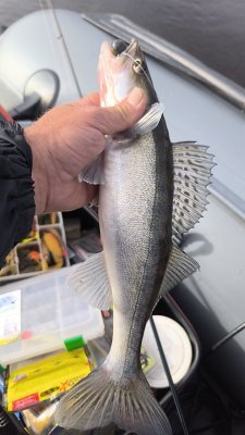 IMG_20260929_102438_238.jpg