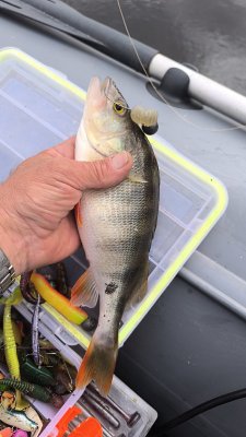 IMG_20260929_141321_811.jpg