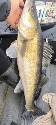 IMG_20260930_082333.jpg