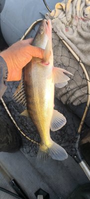 IMG_20260930_084845.jpg