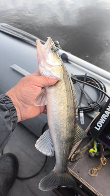 IMG_20260930_151741_991.jpg