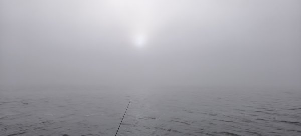 IMG_20261001_082934.jpg