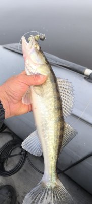 IMG_20261001_105436.jpg