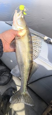 IMG_20261001_121611.jpg
