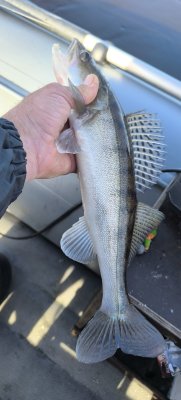 IMG_20261001_143920.jpg