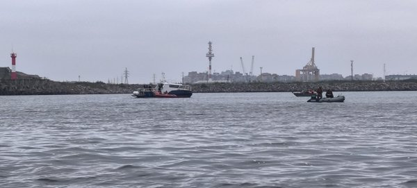 IMG_20261003_083215.jpg