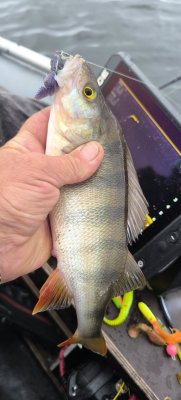 IMG_20261004_093118.jpg