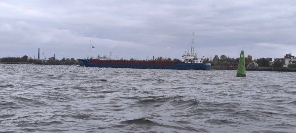 IMG_20261004_135522.jpg