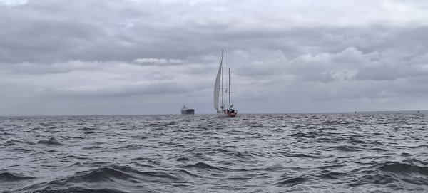 IMG_20261004_135529.jpg