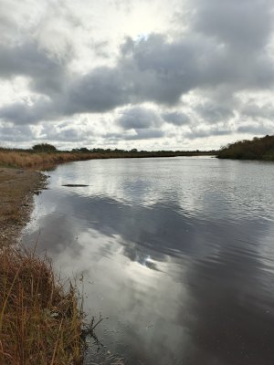 IMG_20261005_104308_729.jpg