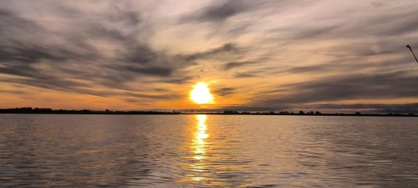 IMG_20261008_073605.jpg