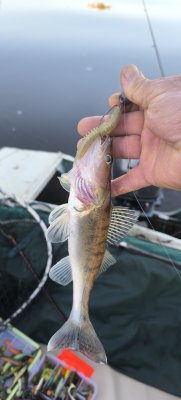IMG_20261016_080824.jpg