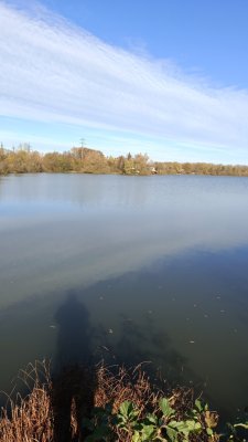 IMG_20261017_122819_881.jpg