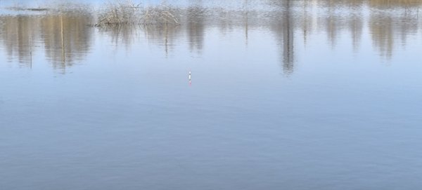 IMG_20261021_141741.jpg