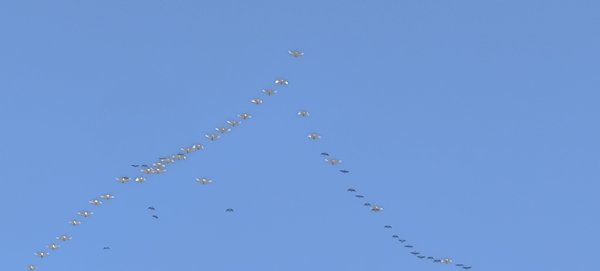 IMG_20261021_151809.jpg