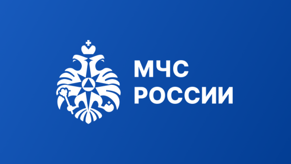 rssImage-7c3565eeaddb4a088ab44ca0c15bee9d.png